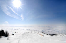 Więcej o: Wspomnienia z Białej Szkoły